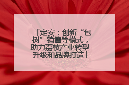 定安：创新“包树”销售等模式，助力荔枝产业转型升级和品牌打造