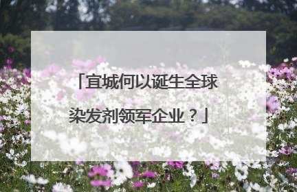 宜城何以诞生全球染发剂领军企业？