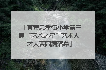 宜宾忠孝街小学第三届“艺术之星”艺术人才大赛圆满落幕