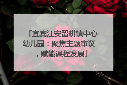 宜宾江安留耕镇中心幼儿园：聚焦主题审议，赋能课程发展