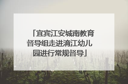 宜宾江安城南教育督导组走进淯江幼儿园进行常规督导
