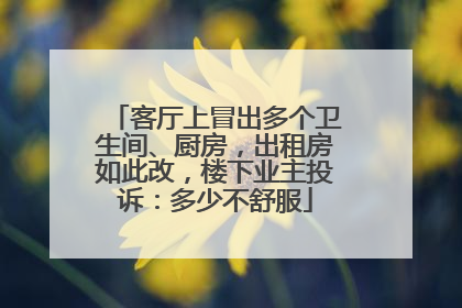客厅上冒出多个卫生间、厨房，出租房如此改，楼下业主投诉：多少不舒服
