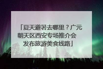 夏天避暑去哪里？广元朝天区西安专场推介会 发布旅游美食线路