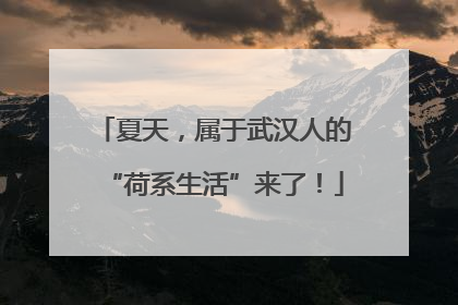 夏天，属于武汉人的“荷系生活”来了！