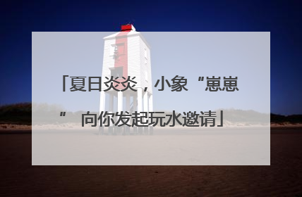 夏日炎炎，小象“崽崽” 向你发起玩水邀请