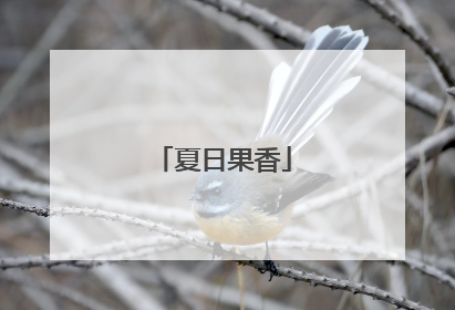 夏日果香