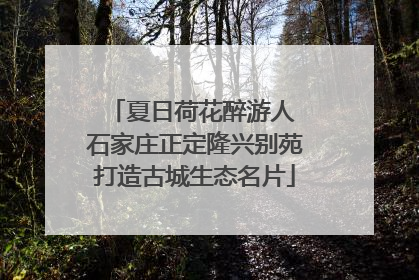 夏日荷花醉游人 石家庄正定隆兴别苑打造古城生态名片