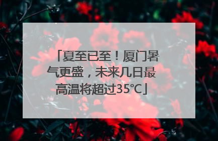 夏至已至！厦门暑气更盛，未来几日最高温将超过35℃