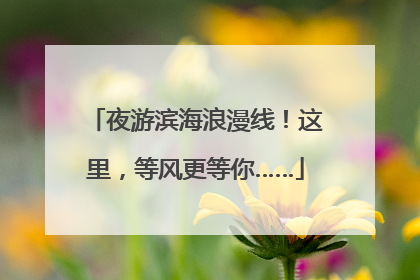 夜游滨海浪漫线！这里，等风更等你……
