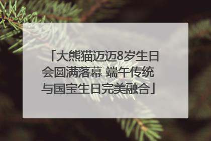 大熊猫迈迈8岁生日会圆满落幕 端午传统与国宝生日完美融合