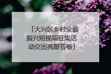 大兴区乡村全面振兴短视频征集活动交出亮眼答卷