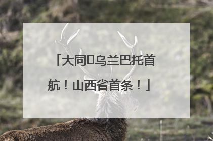 大同⇌乌兰巴托首航！山西省首条！