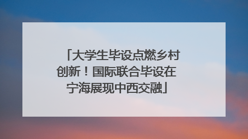 大学生毕设点燃乡村创新！国际联合毕设在宁海展现中西交融