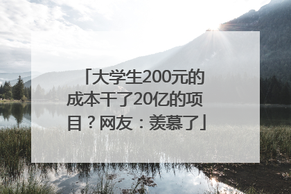大学生200元的成本干了20亿的项目？网友：羡慕了