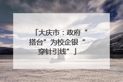大庆市：政府“搭台”为校企银“穿针引线”