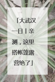 大武汉一日丨亲测，这里搭帐篷露营绝了