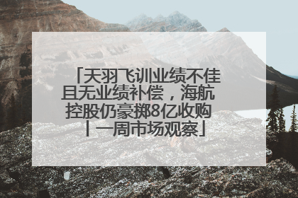 天羽飞训业绩不佳且无业绩补偿，海航控股仍豪掷8亿收购丨一周市场观察