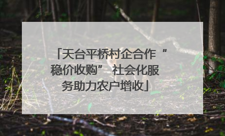 天台平桥村企合作“稳价收购” 社会化服务助力农户增收