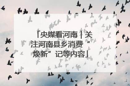 央媒看河南｜关注河南县乡消费“焕新”记等内容