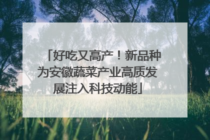 好吃又高产！新品种为安徽蔬菜产业高质发展注入科技动能