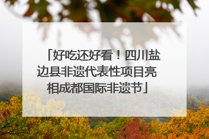 好吃还好看！四川盐边县非遗代表性项目亮相成都国际非遗节
