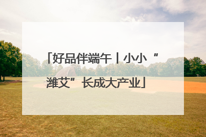 好品伴端午丨小小“潍艾”长成大产业