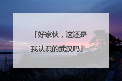 好家伙，这还是我认识的武汉吗