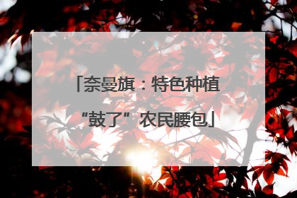 奈曼旗：特色种植“鼓了”农民腰包