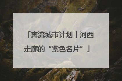 奔流城市计划丨河西走廊的“紫色名片”