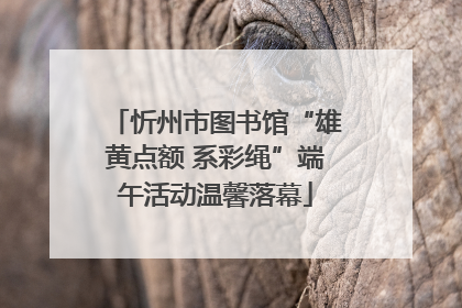 忻州市图书馆“雄黄点额 系彩绳”端午活动温馨落幕