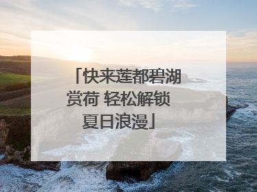 快来莲都碧湖赏荷 轻松解锁夏日浪漫