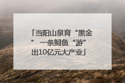 当阳山泉育“黑金” 一条鲟鱼“游”出10亿元大产业