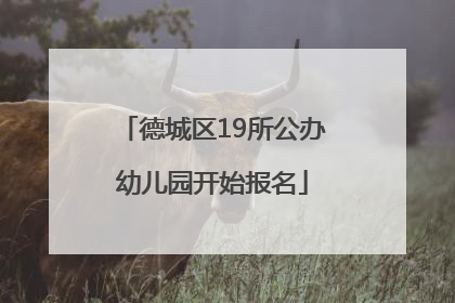 德城区19所公办幼儿园开始报名
