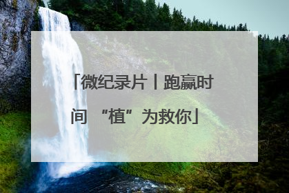 微纪录片丨跑赢时间 “植”为救你