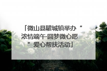 微山县驩城镇举办“浓情端午·圆梦微心愿”爱心帮扶活动