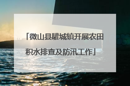 微山县驩城镇开展农田积水排查及防汛工作