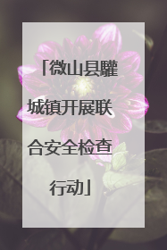 微山县驩城镇开展联合安全检查行动