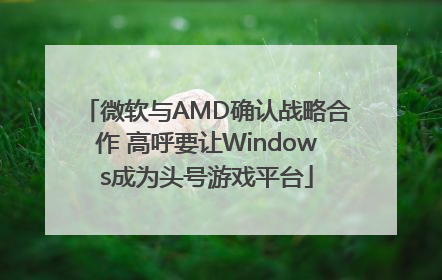 微软与AMD确认战略合作 高呼要让Windows成为头号游戏平台