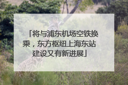 将与浦东机场空铁换乘，东方枢纽上海东站建设又有新进展