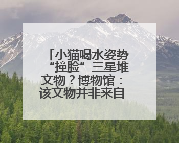 小猫喝水姿势“撞脸”三星堆文物？博物馆：该文物并非来自三星堆，有可能是它