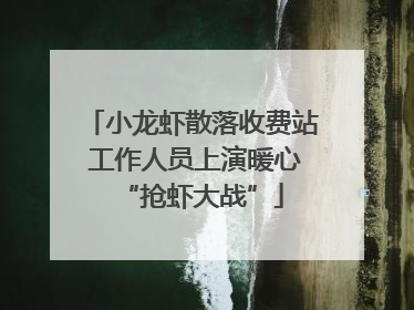 小龙虾散落收费站 工作人员上演暖心“抢虾大战”