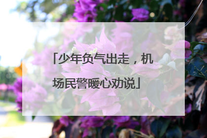 少年负气出走，机场民警暖心劝说