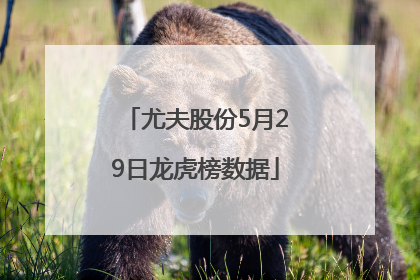 尤夫股份5月29日龙虎榜数据