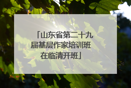 山东省第二十九届基层作家培训班在临清开班