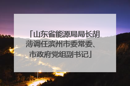 山东省能源局局长胡薄调任滨州市委常委、市政府党组副书记