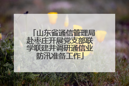 山东省通信管理局赴枣庄开展党支部联学联建并调研通信业防汛准备工作