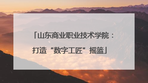山东商业职业技术学院：打造“数字工匠”摇篮
