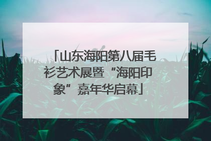 山东海阳第八届毛衫艺术展暨“海阳印象”嘉年华启幕