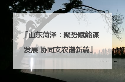 山东菏泽：聚势赋能谋发展 协同支农谱新篇