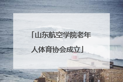 山东航空学院老年人体育协会成立